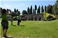 Group - Visit of a Winery